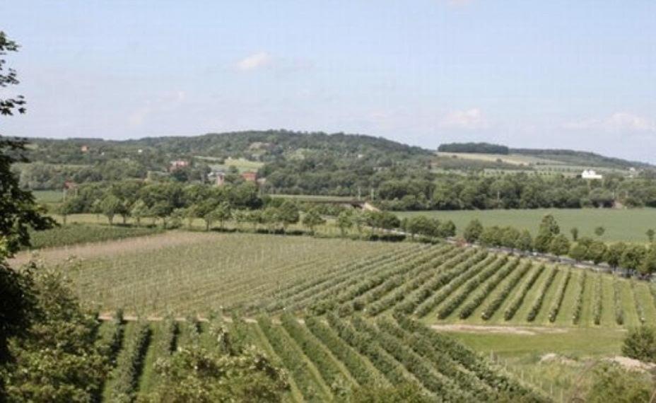 Ferienwohnung Zum Saaletalblick Naumburg  Exterior foto
